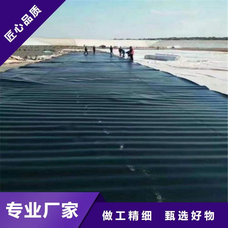 土工膜钢塑土工格栅现货批发