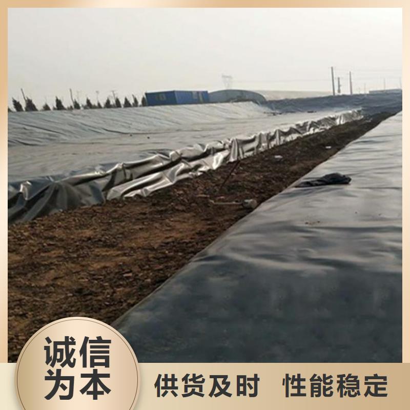 土工膜膨润土防水毯好货直供