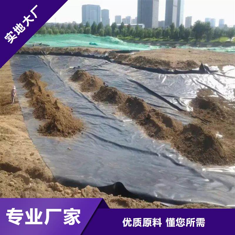 土工膜-【玻纤土工格栅】价格实惠