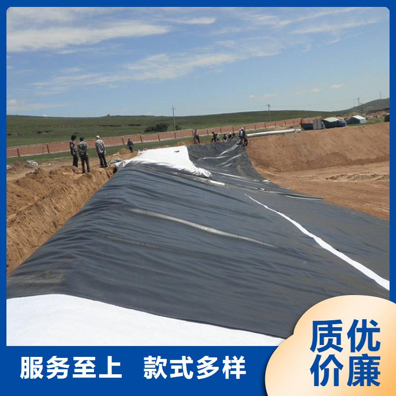【土工膜土工布优质原料】