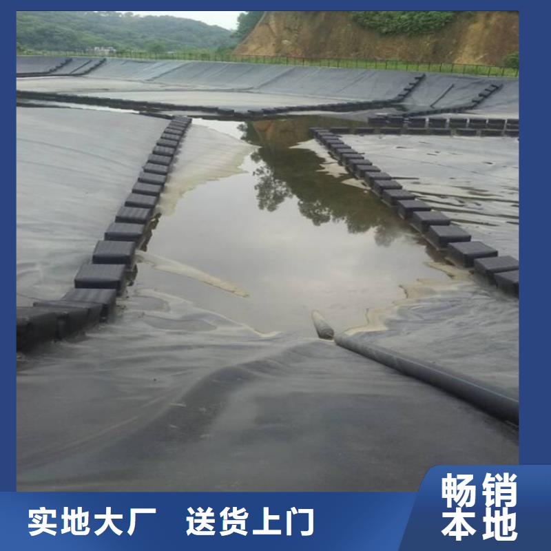 土工膜防水板供您所需