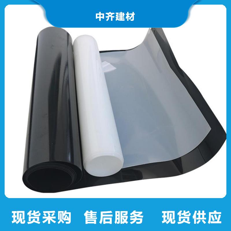 土工膜钢塑格栅定制零售批发