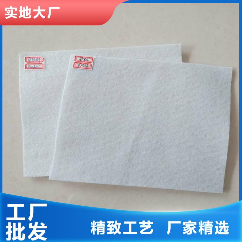 土工布_聚酯布规格齐全实力厂家