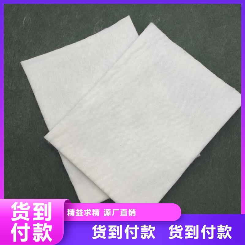 土工布拉筋带品质服务