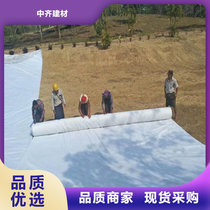 土工布拉筋带品质服务