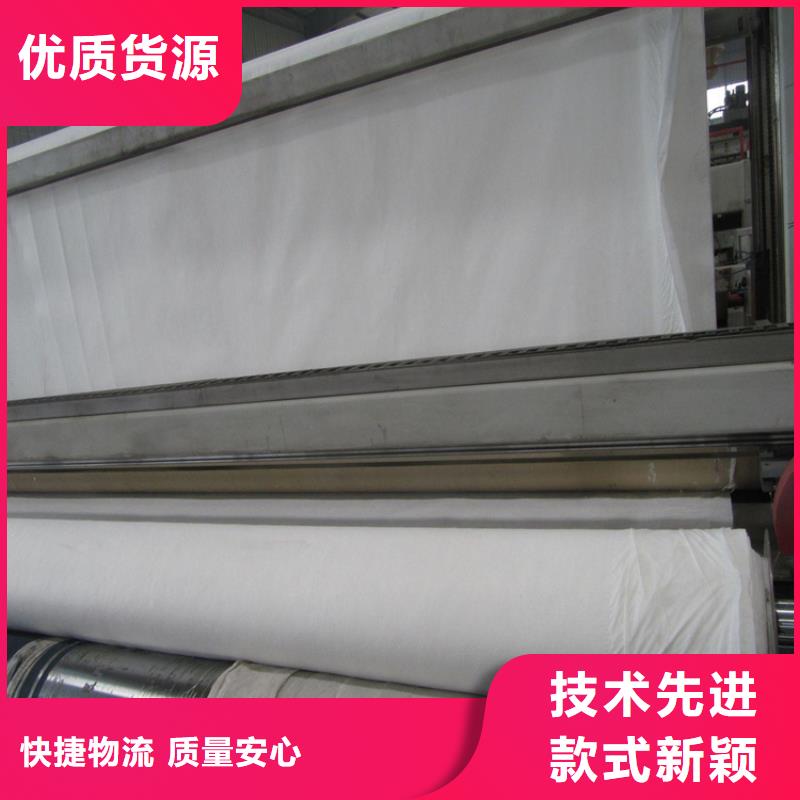 土工布拉筋带品质服务