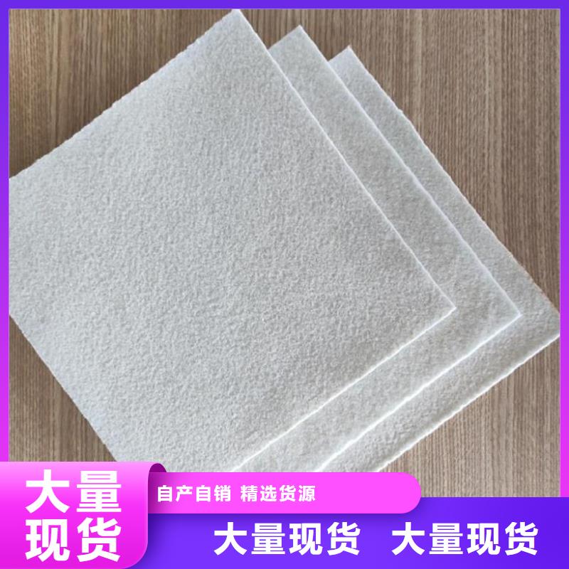 土工布_网格布把实惠留给您