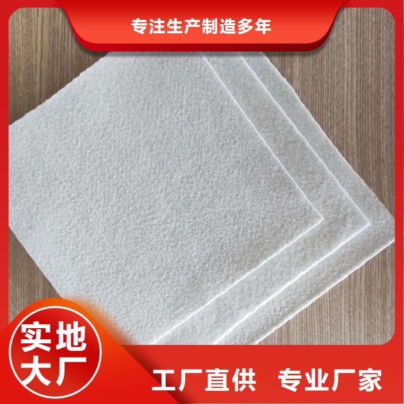 土工布【【玻纤土工格栅】】拒绝伪劣产品