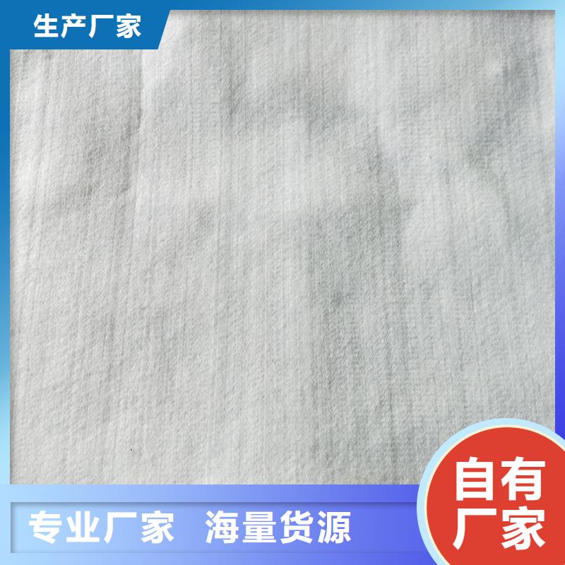 土工布HDPE土工膜专注细节专注品质