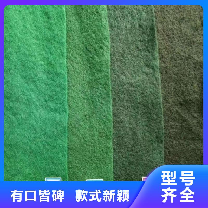 土工布防渗膜闪电发货