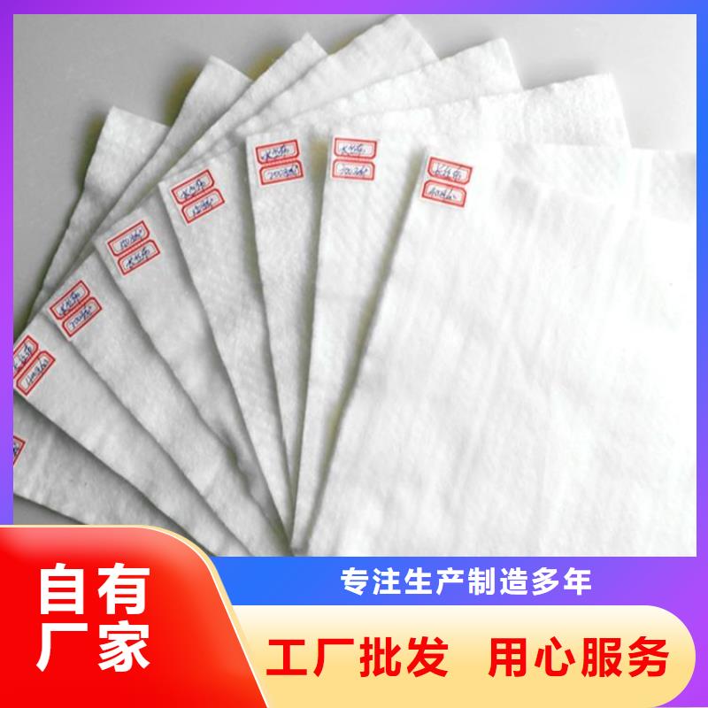 土工布-排水板一致好评产品