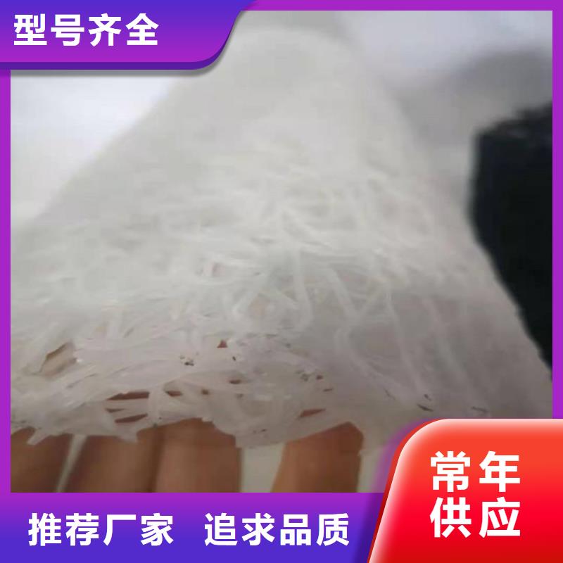 塑料盲沟玻纤格栅现货充足量大优惠