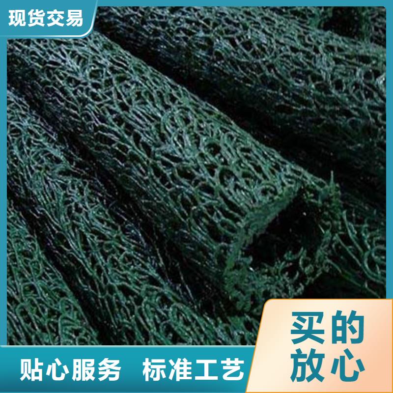 【塑料盲沟土工格栅卓越品质保障】