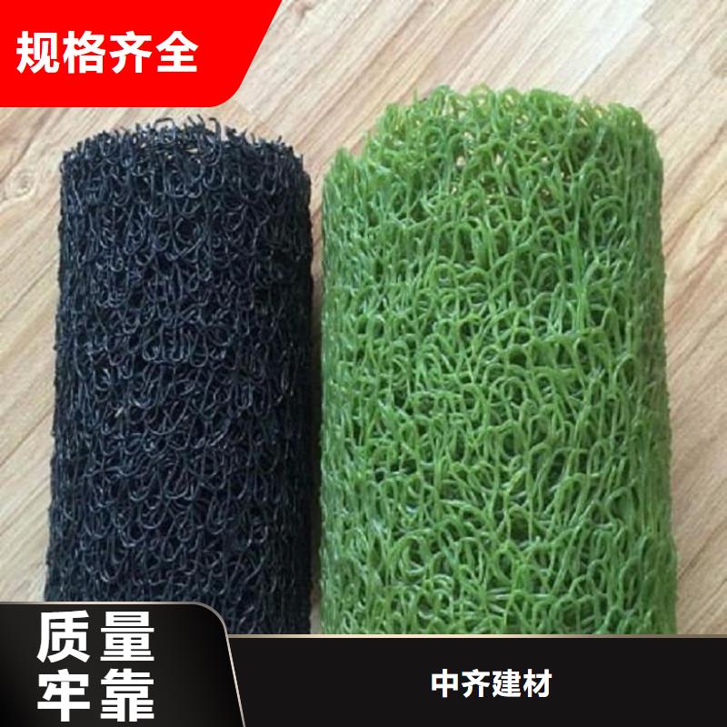 塑料盲沟玻纤格栅现货充足量大优惠