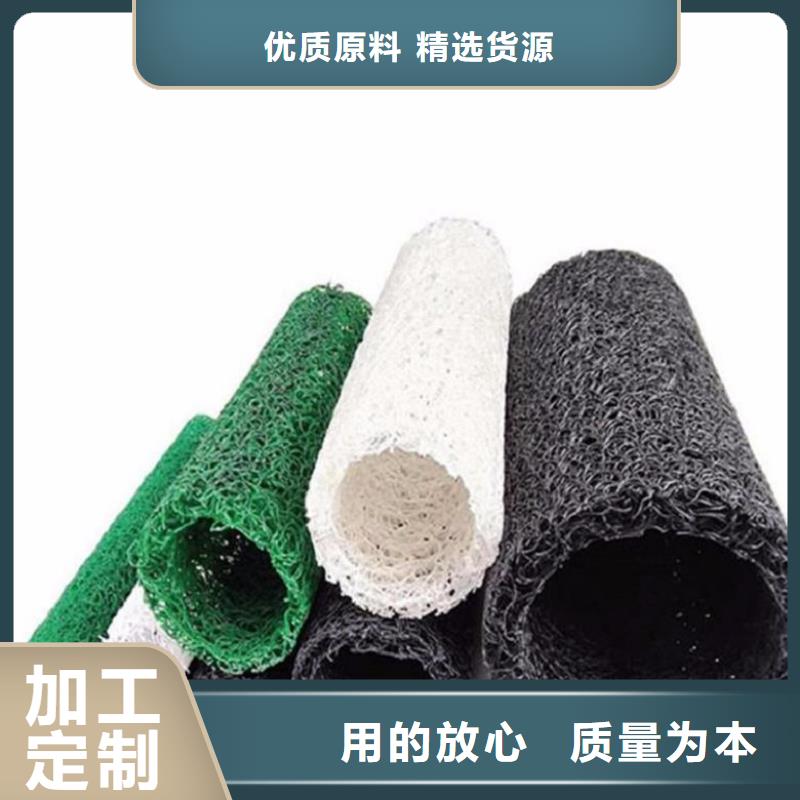 【塑料盲沟土工格栅卓越品质保障】