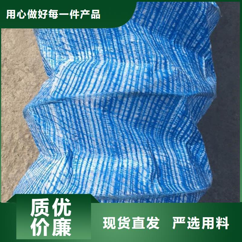 软式透水管-双向土工格栅量大从优