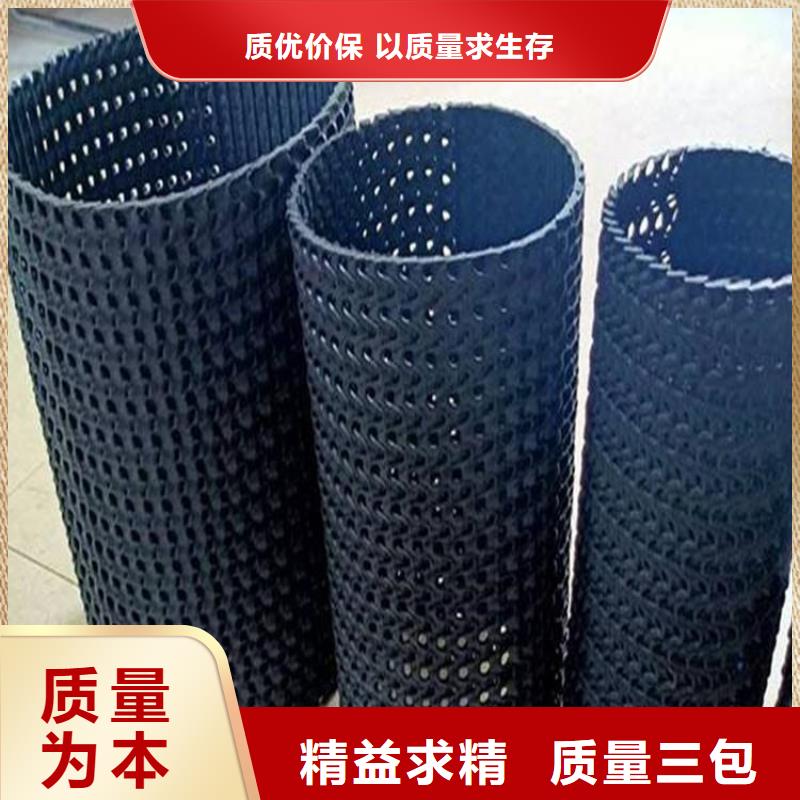 硬式透水管HDPE土工膜我们更专业