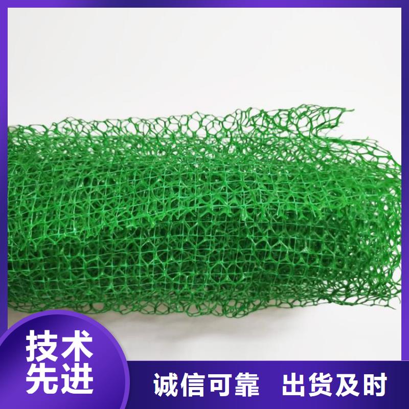 三维植被网防渗膜采购无忧