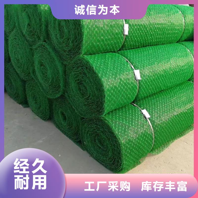 三维植被网土工格室真材实料加工定制