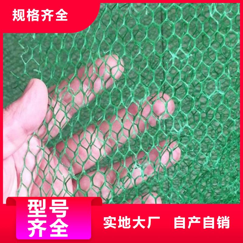 三维植被网聚酯玻纤布应用领域
