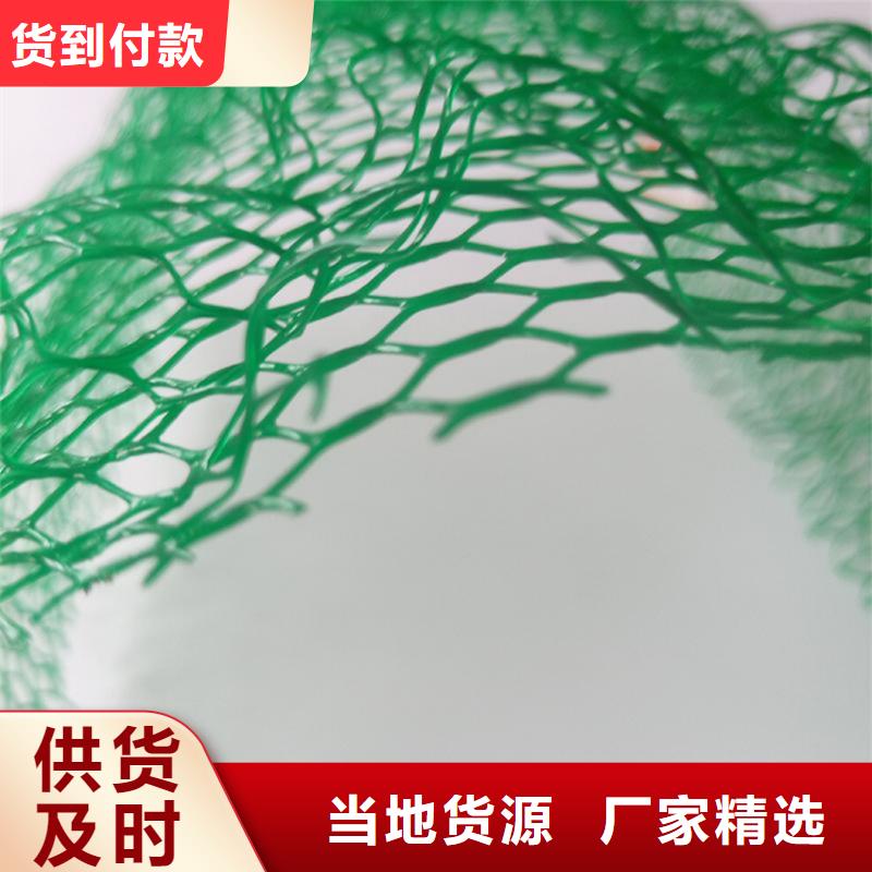 三维植被网双向塑料土工格栅价格公道合理