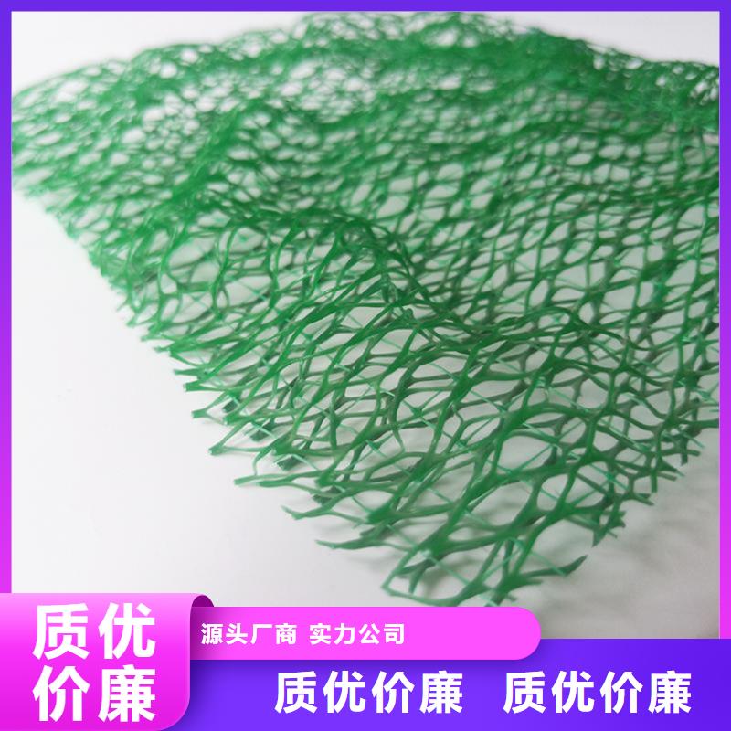 三维植被网生态带生产安装