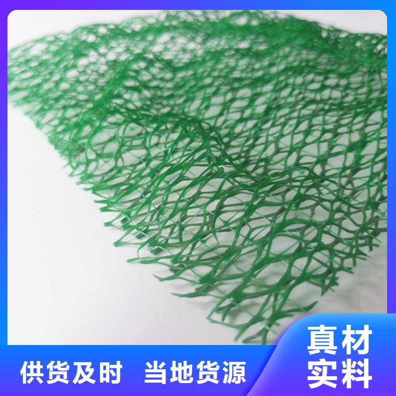 【三维植被网-土工布快速报价】