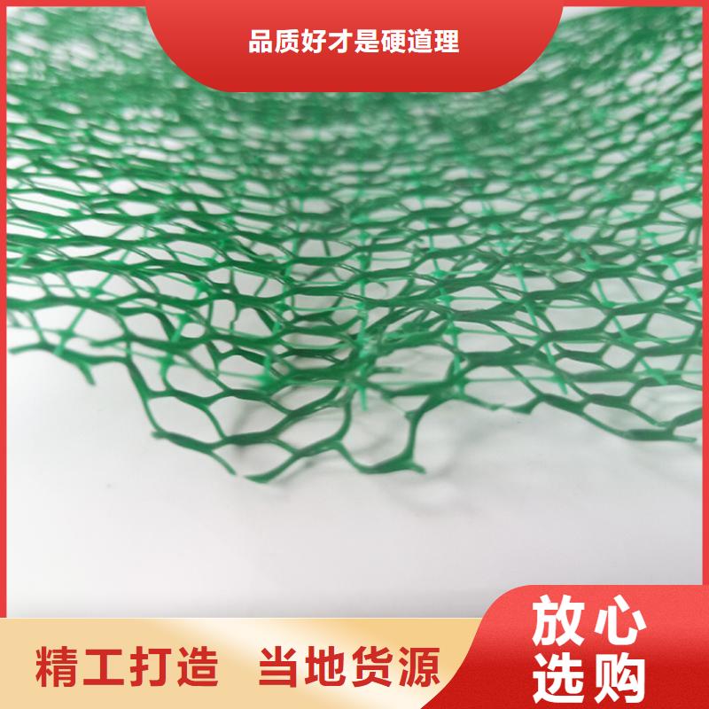 三维植被网,网格布为您提供一站式采购服务
