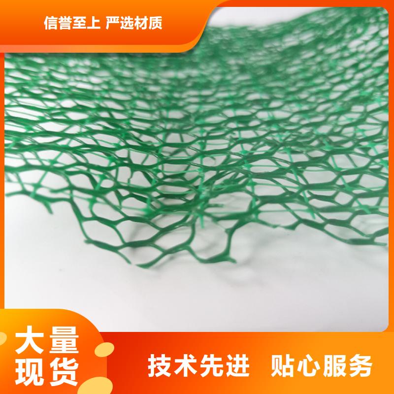 三维植被网土工布现货快速采购