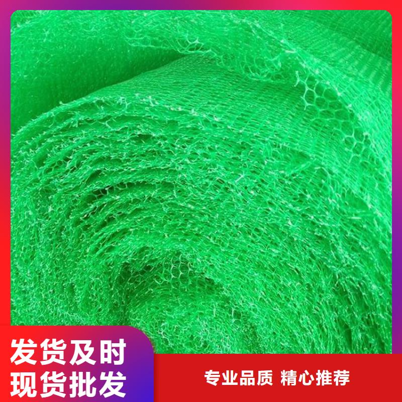 三维植被网双向土工格栅精选货源