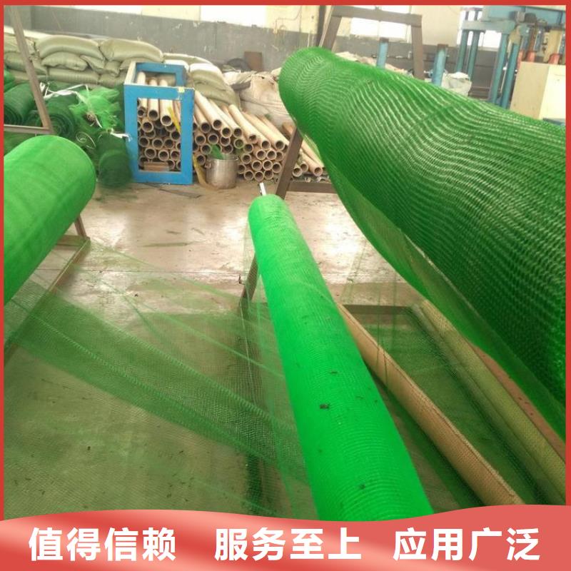 三维植被网防渗膜好厂家有担当