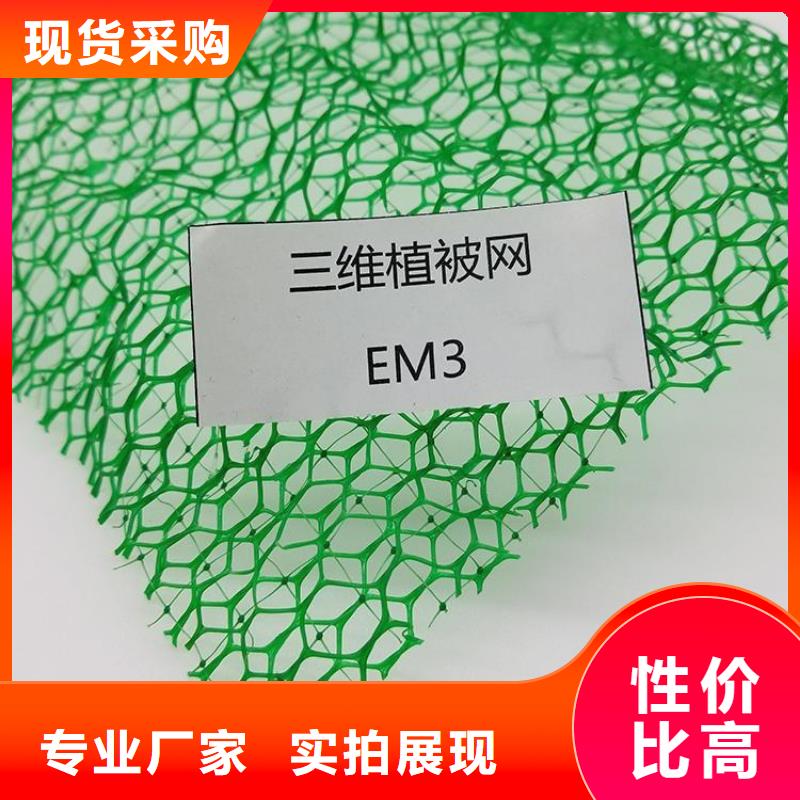 三维植被网土工格栅经久耐用