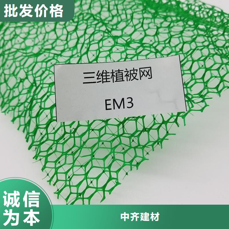 三维植被网防渗膜好厂家有担当
