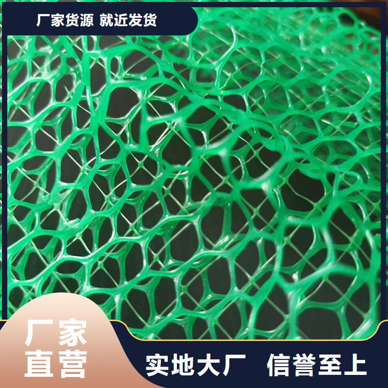 三维植被网塑料格栅分类和特点