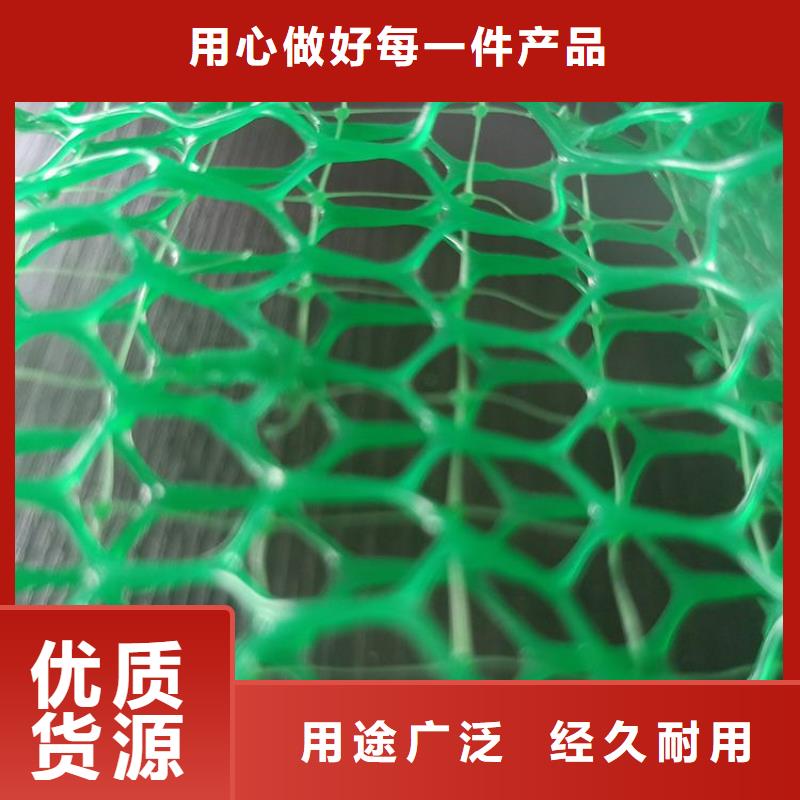 三维植被网土工格栅安心购