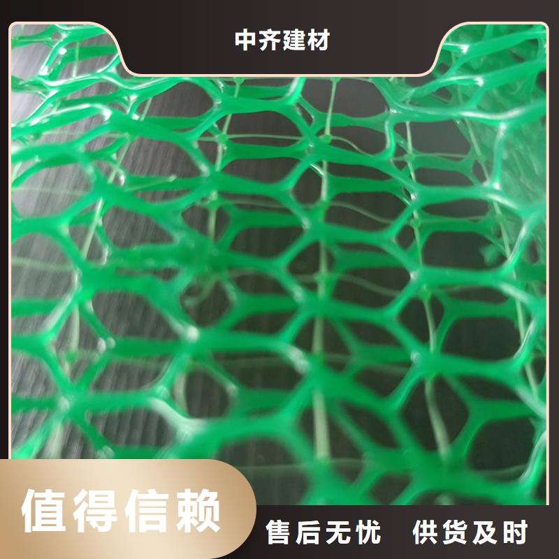 三维植被网,塑料盲沟满足客户所需