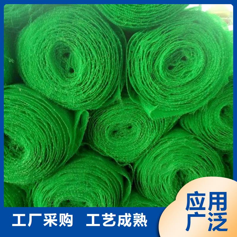 【三维植被网-土工布快速报价】