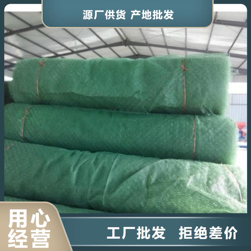 三维植被网塑料格栅可定制有保障