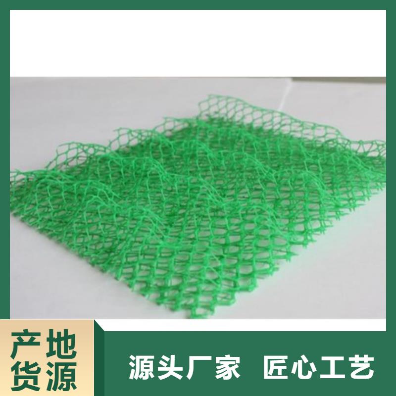 三维植被网,防水板海量货源