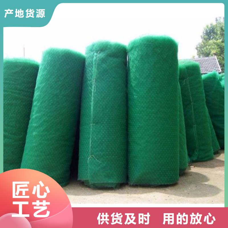 三维植被网HDPE土工膜设计制造销售服务一体