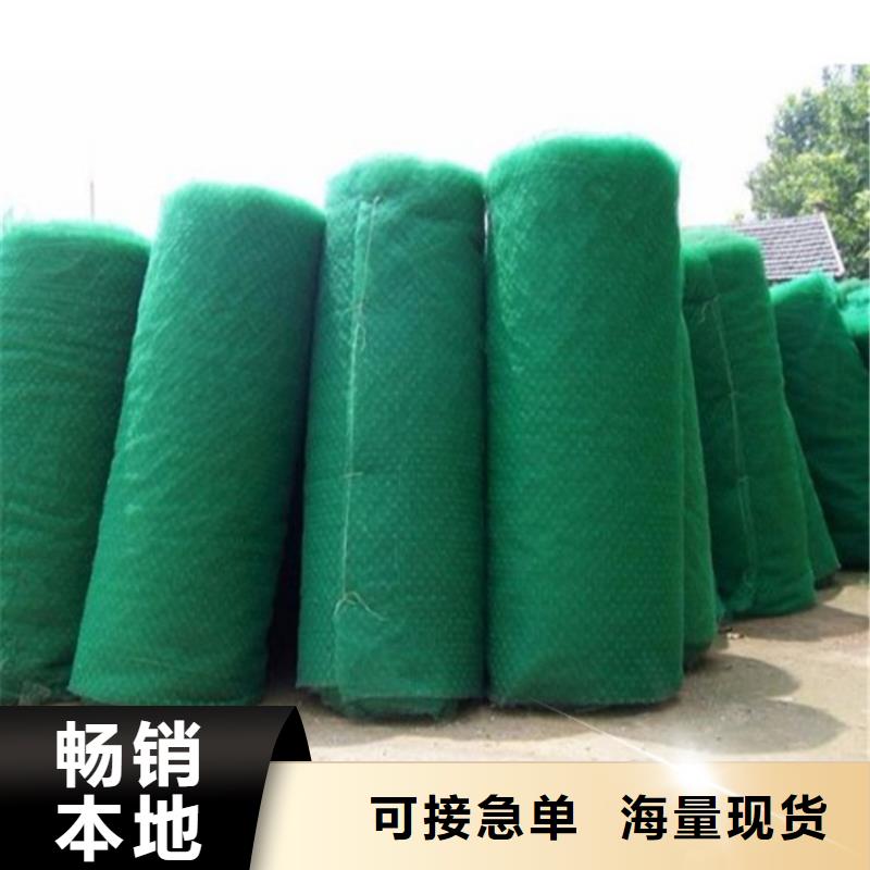 三维植被网土工格栅的简单介绍