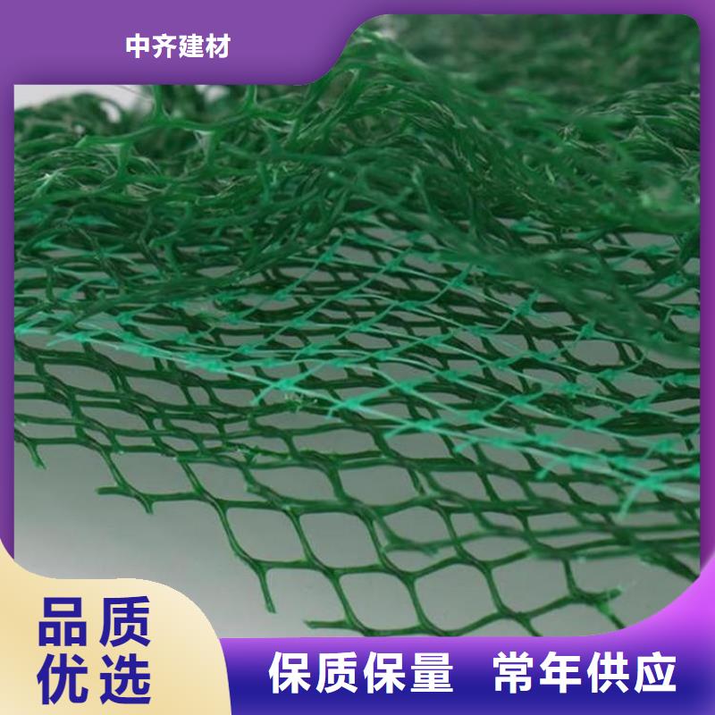 三维植被网玻璃纤维土工格栅行业优选