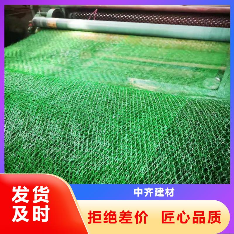 三维植被网抗裂贴用心做好细节