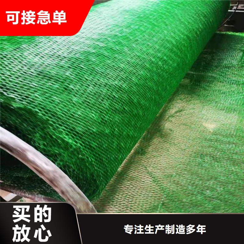 三维植被网双向土工格栅精选货源