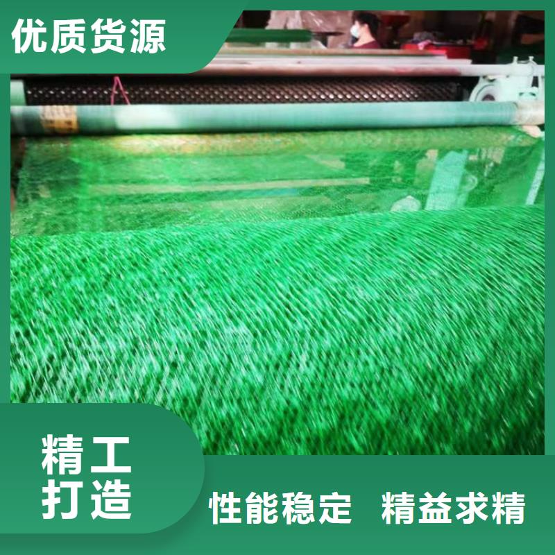 三维植被网塑料土工格栅快速报价