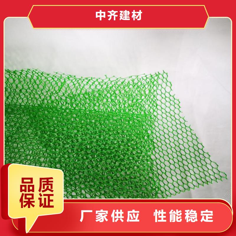 三维植被网土工格栅经久耐用