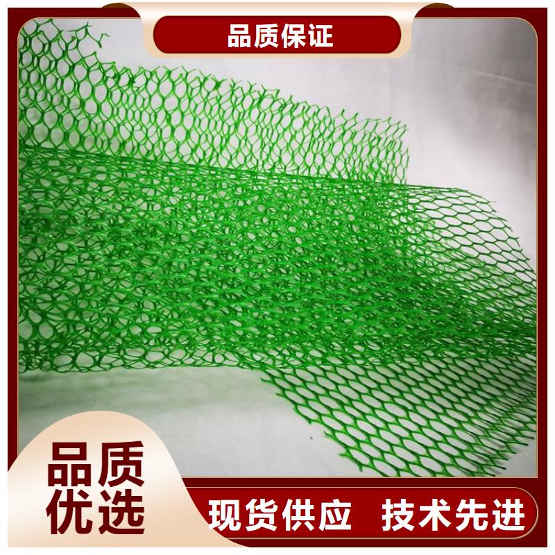 三维植被网防渗膜来图加工定制