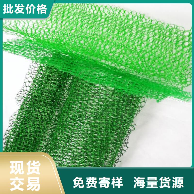 三维植被网土工格栅安心购