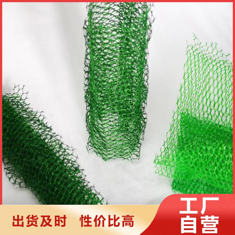 三维植被网塑料格栅分类和特点