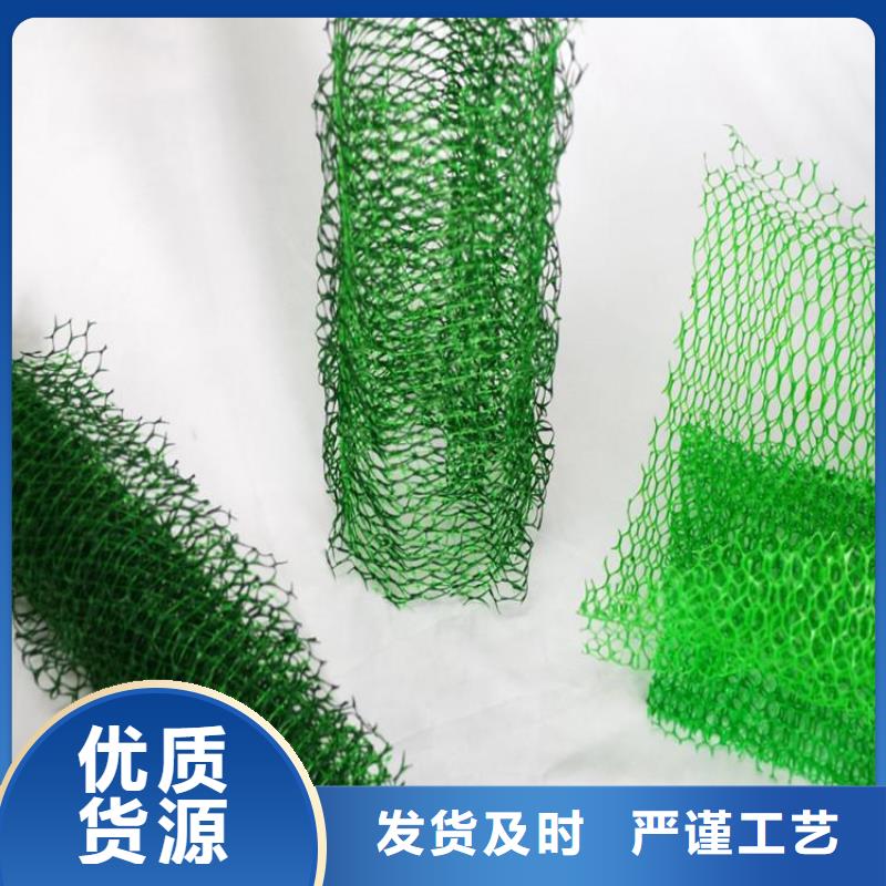 【三维植被网-土工布快速报价】